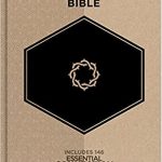 NKJV Essential Teen Study Bible Printed Hc