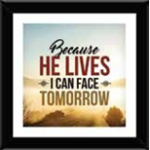 PLAQUE5X5 HeLives