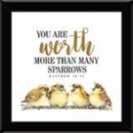 PLAQUE5X5 Mathew 1031