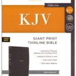 KJV Thinline Bible: Giant Print, Black Leather Soft, Thumb Indexed, Red Letter