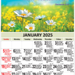 Calendars (2025) - Wall