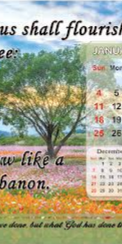 Calendars (2026) - English Table top